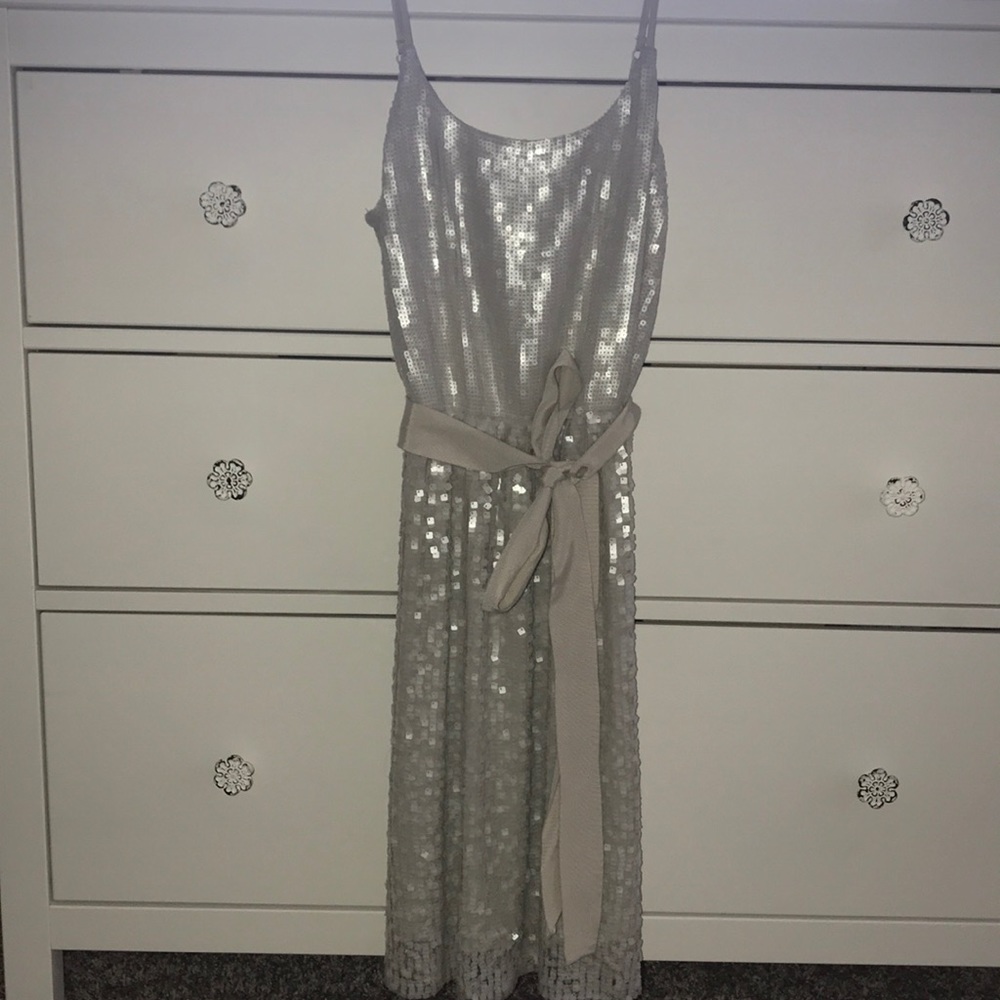 Beautiful Sequin Silver Dress From Express - Picture 3 of 7